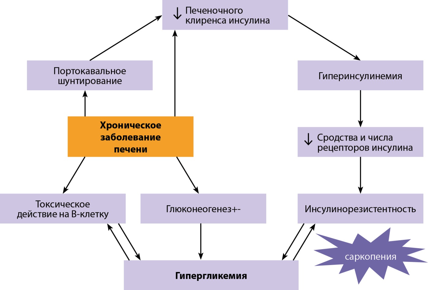 Лс цопе 