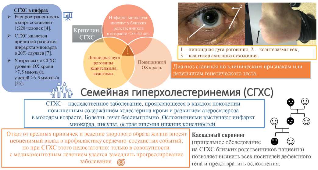 Наследственная гиперхолестеринемия